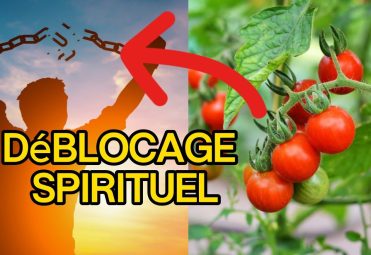 Savon de déblocage spirituel avec la feuille de tomate