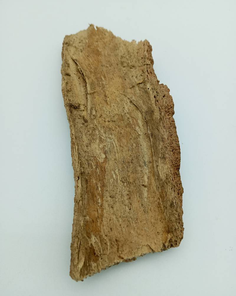 Écorce de Bodunwo (Eepo Bodunwo) – Image 2