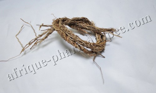 Khamaré Gongoli (Vetiver)